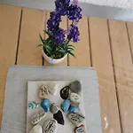 House Katarina Ankaran