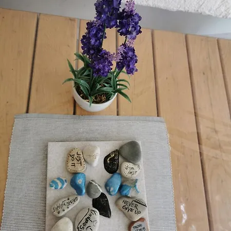 House Katarina Ankaran